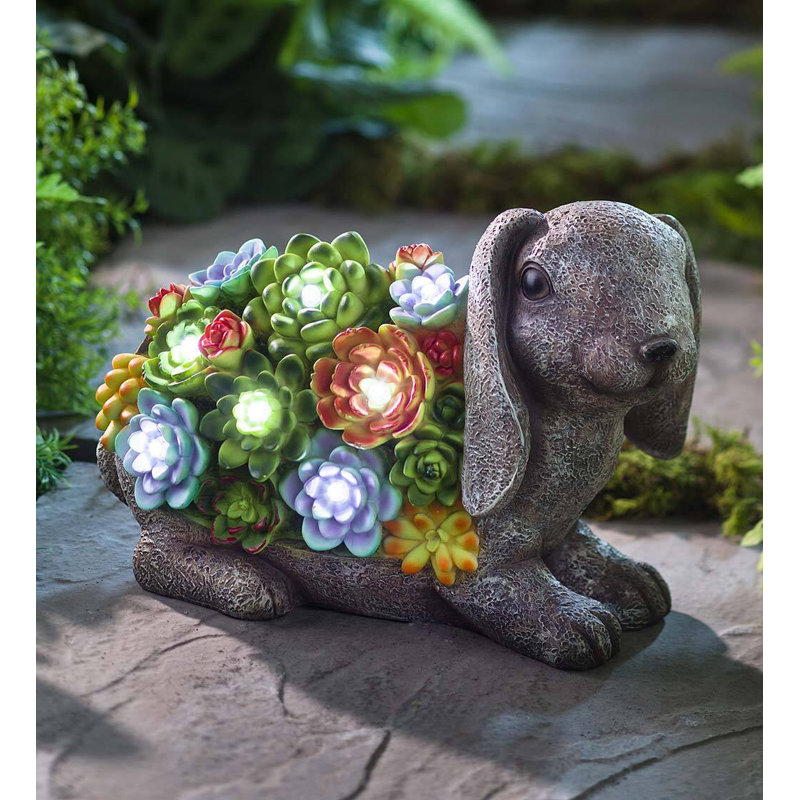 Plow & Hearth Solar Lighted Succulent Resin Animal Garden Statue